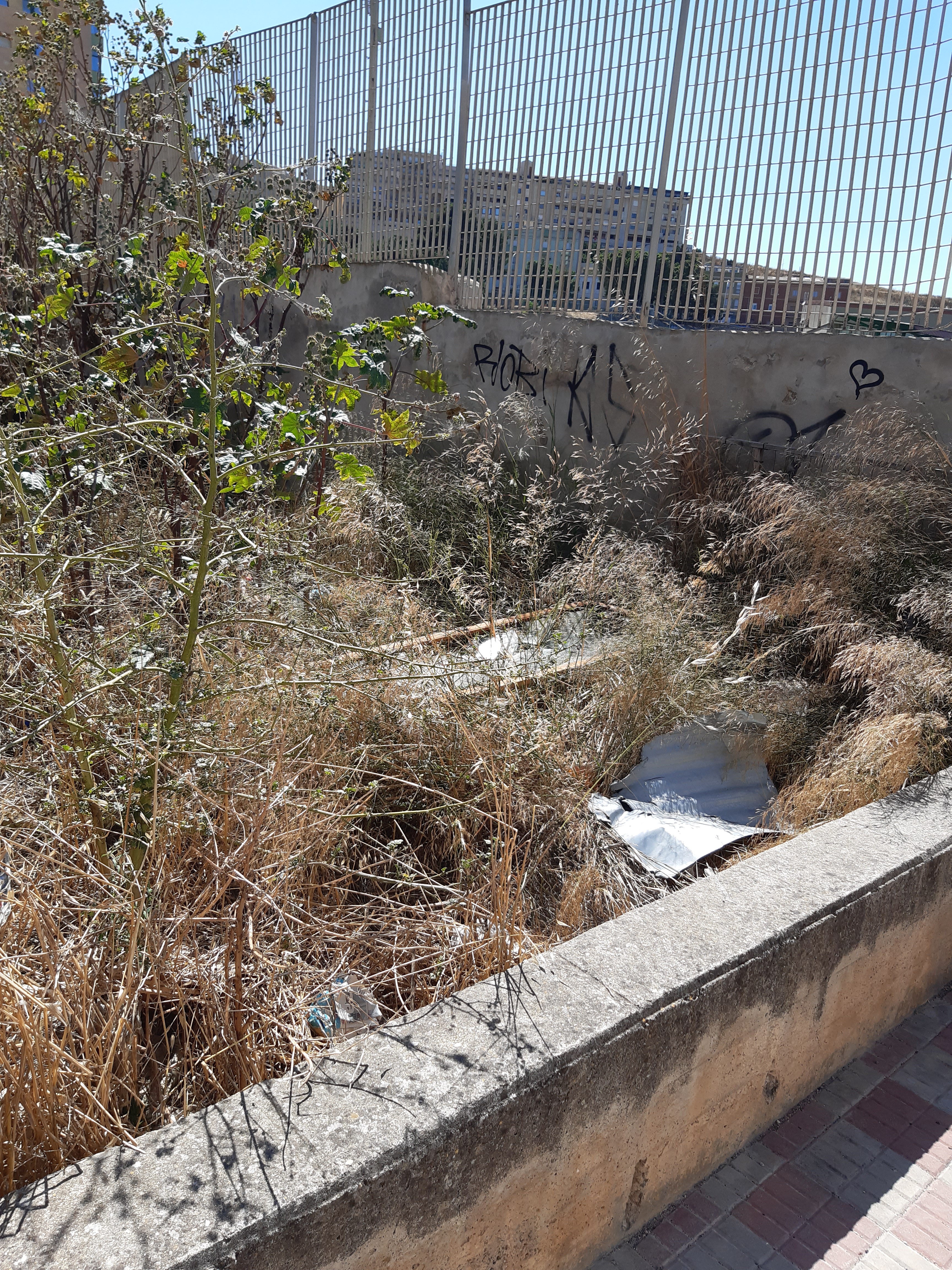 “Centro estivo del Cus, lo spettacolo indecoroso in strada con i bambini in attesa: il Comune deve sanificare”