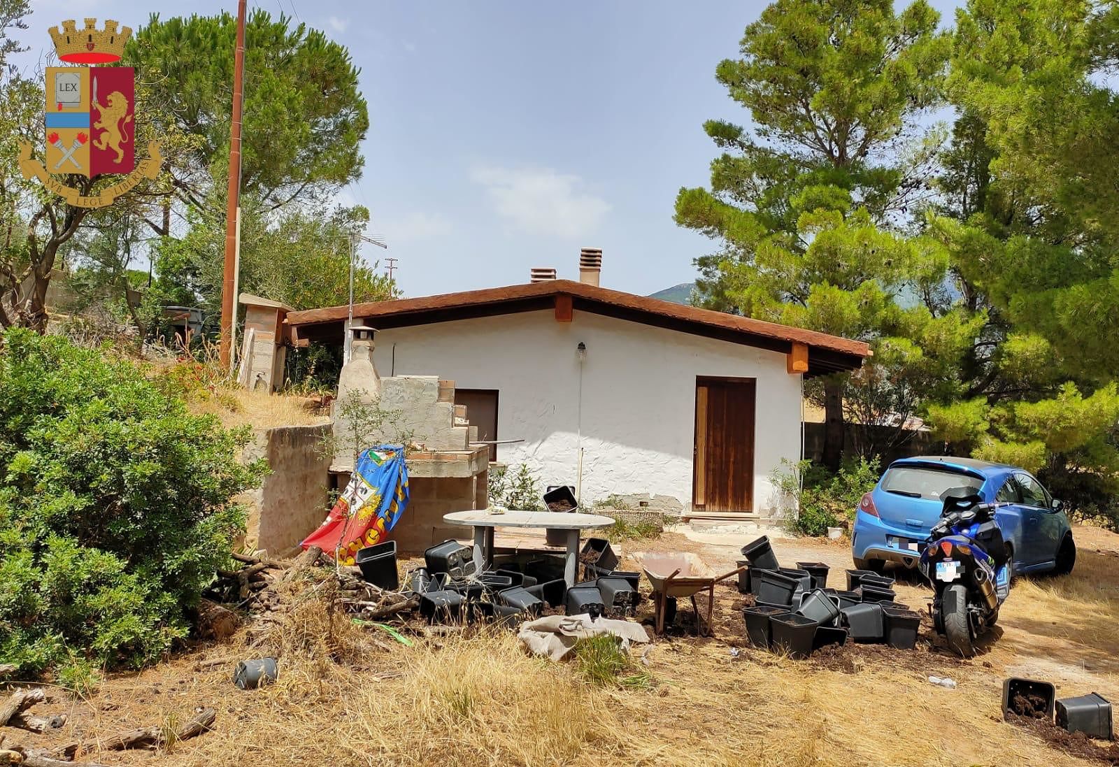 Scoperta una piantagione di marijuana a Tasonis, coppia di cagliaritani in arresto