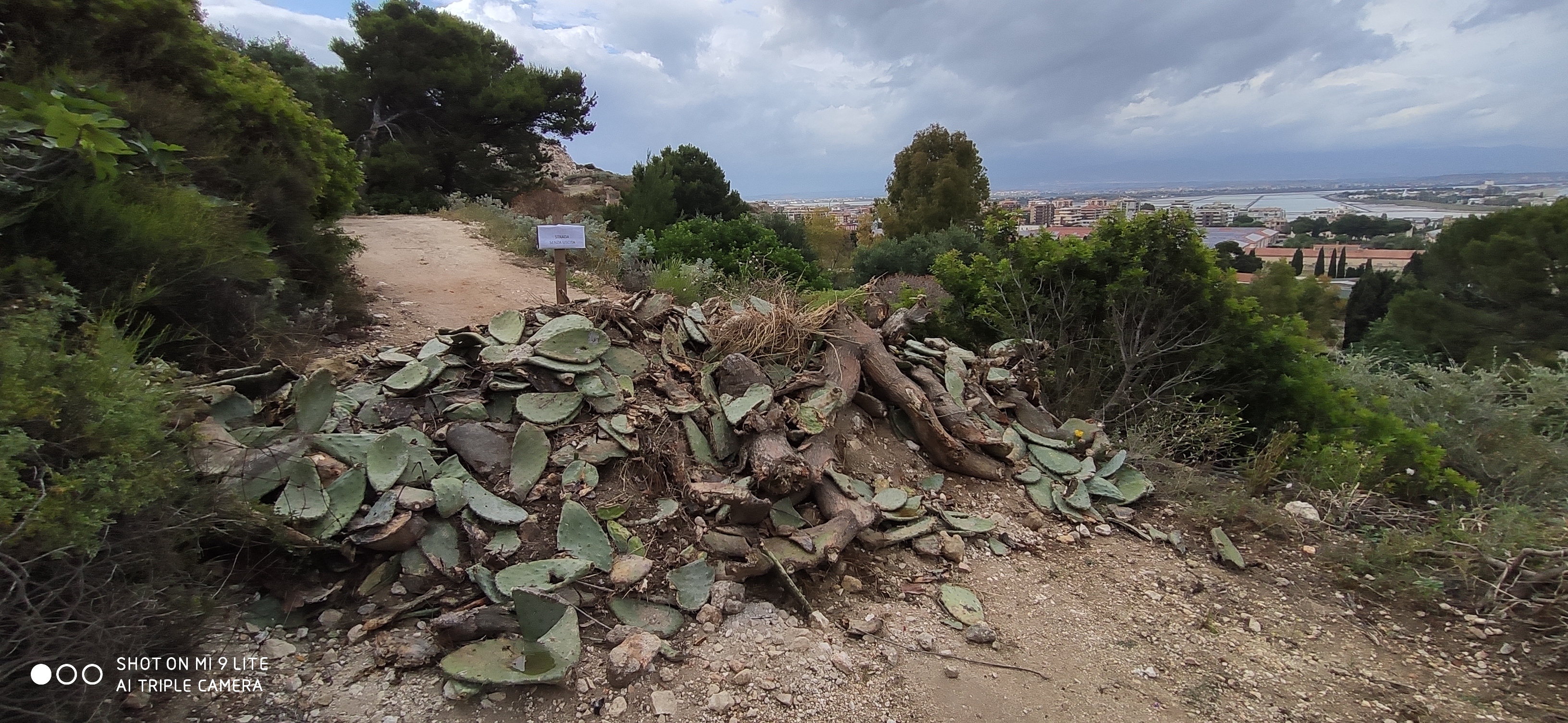 Calamosca, chiusa con detriti la strada che porta al fortino. E spunta un cartello falso