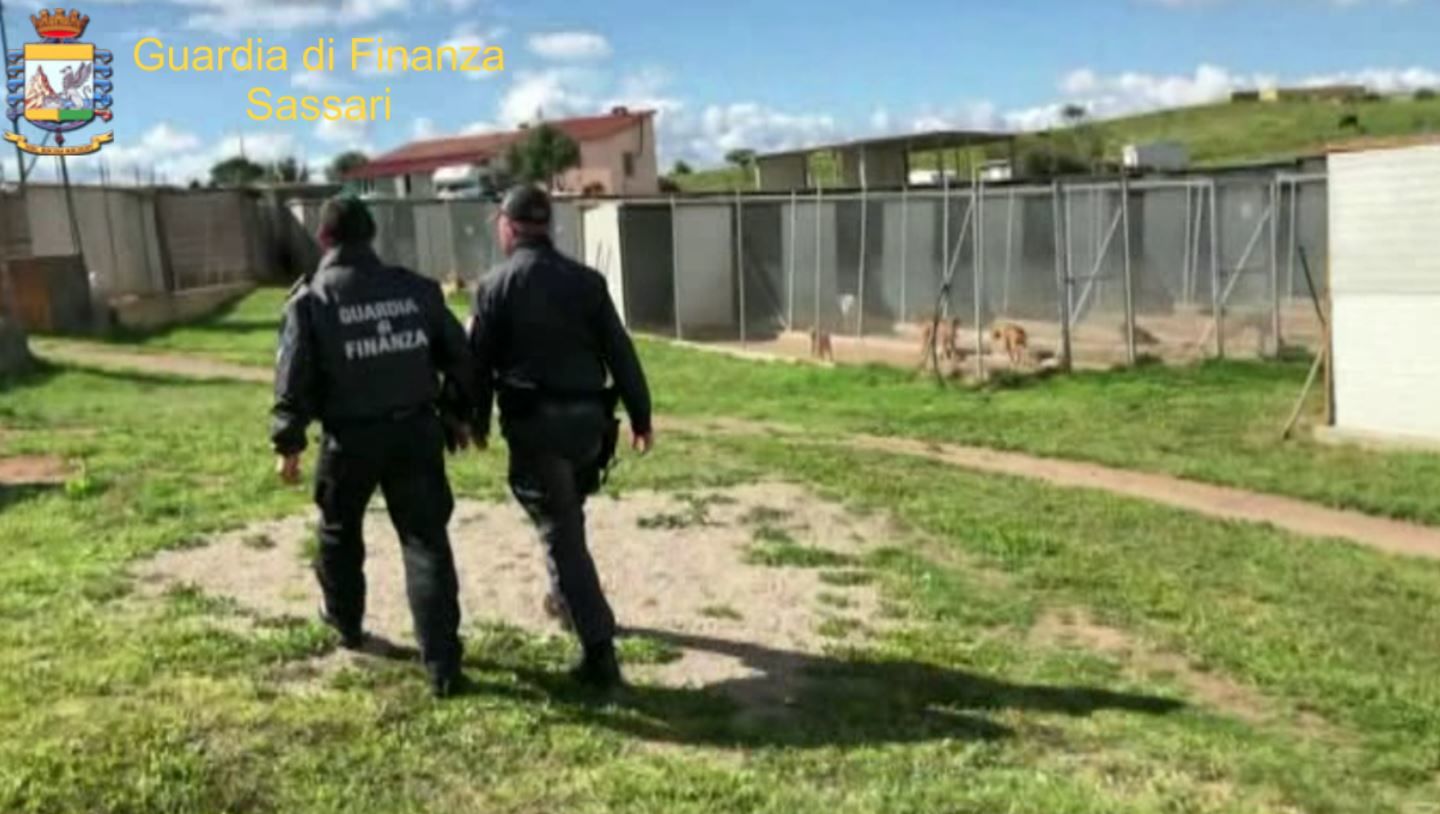 Canile lager di Olbia, animali maltrattati e uccisi con farmaci: ci sono tre indagati