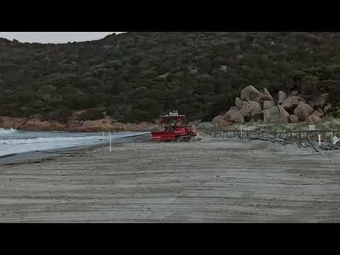 Porto Giunco, “Cingolato spiana la spiaggia a colpi di benna nell’area protetta” (VIDEO)