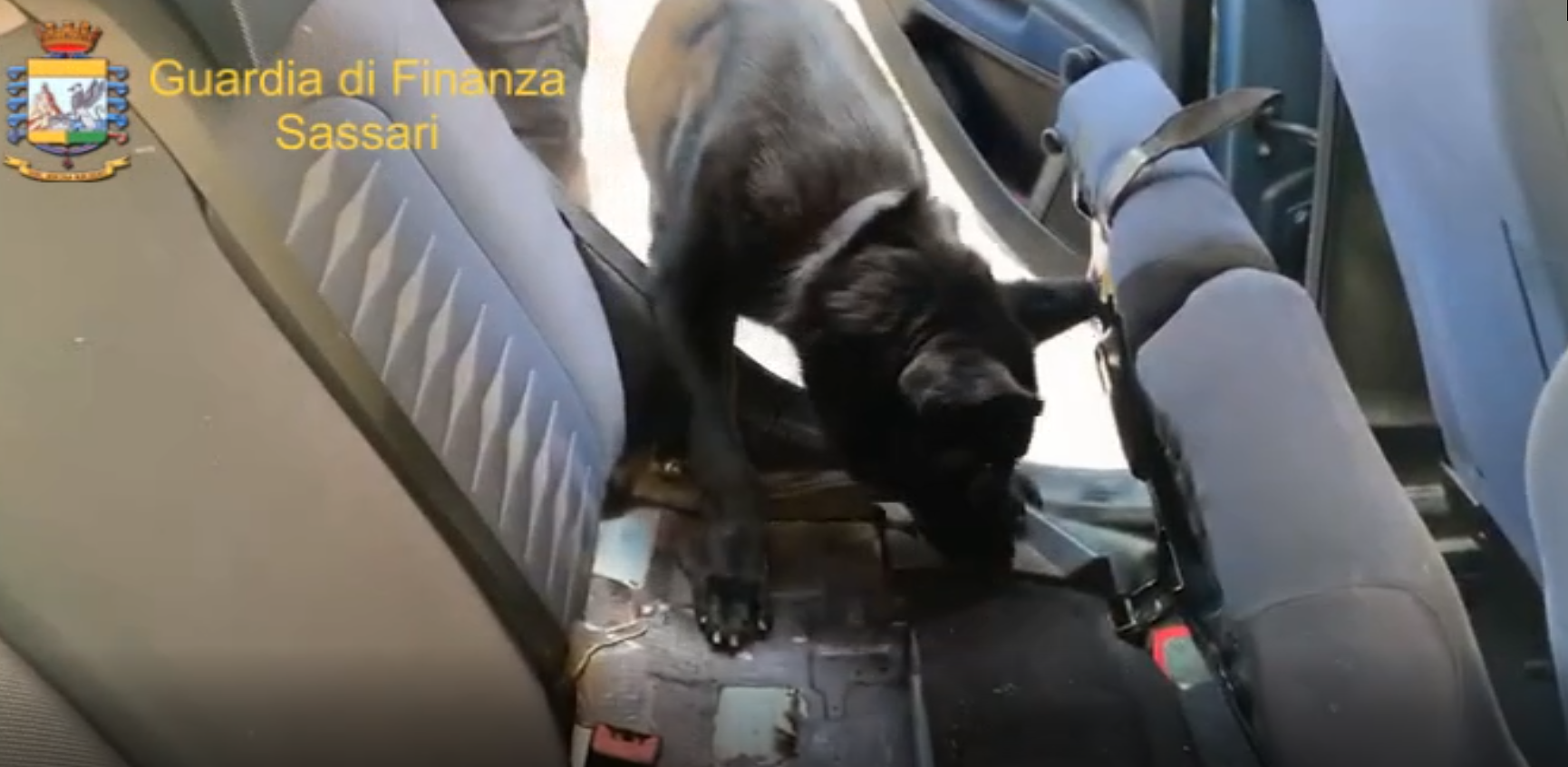 Sbarca a Porto Torres con un chilo e mezzo di cocaina purissima: in manette corriere della droga