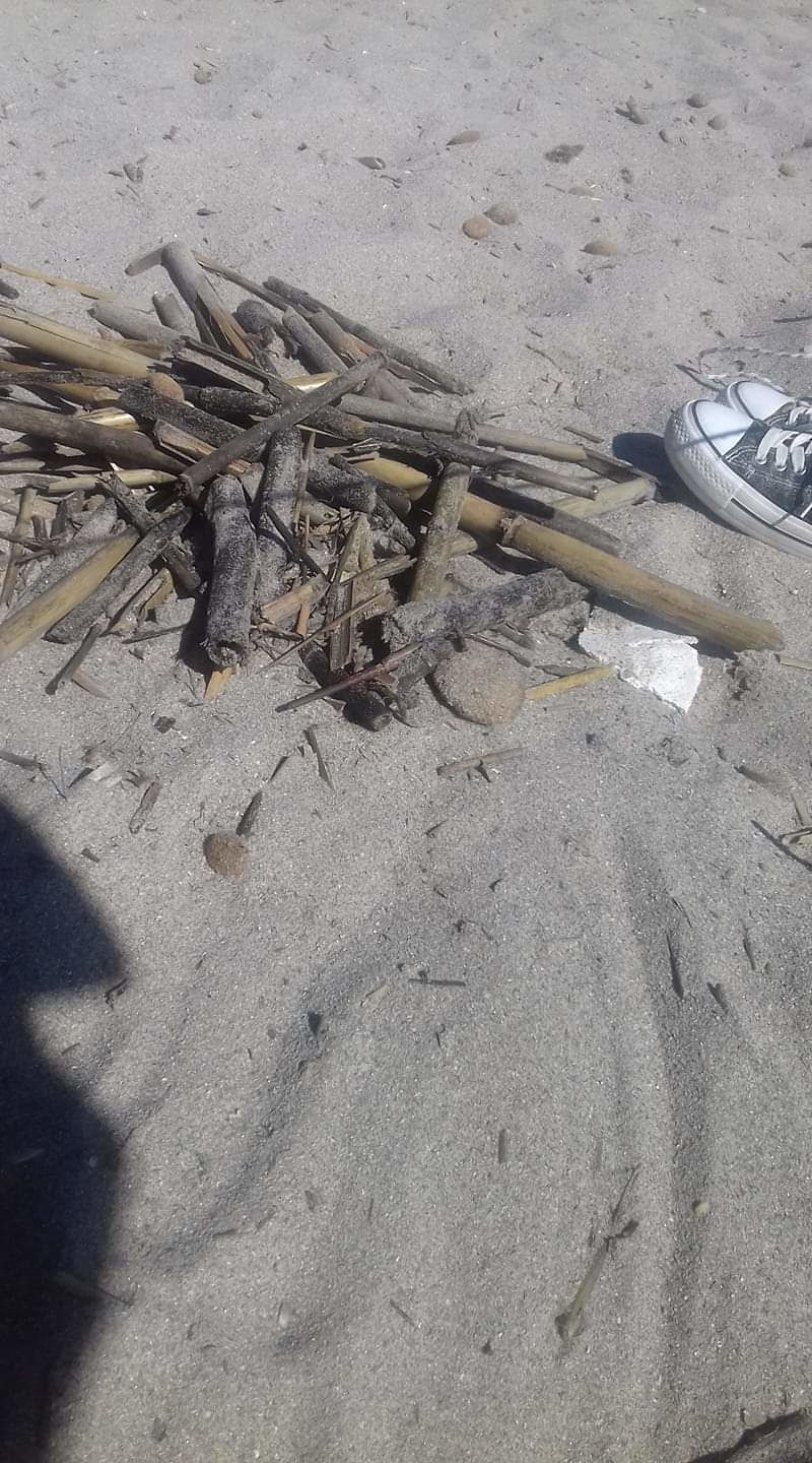 Pezzi di canne sotto la sabbia del Poetto: “Pericolo per i bagnanti”