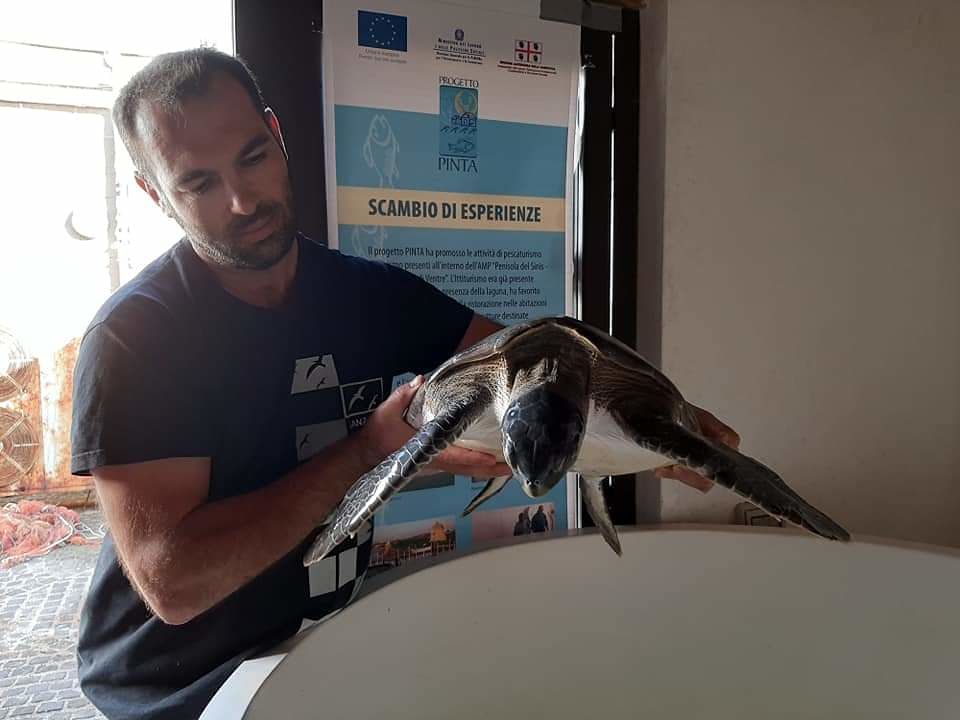 Arborea, sta meglio la tartaruga “Arrubia”: presto sarà liberata in mare
