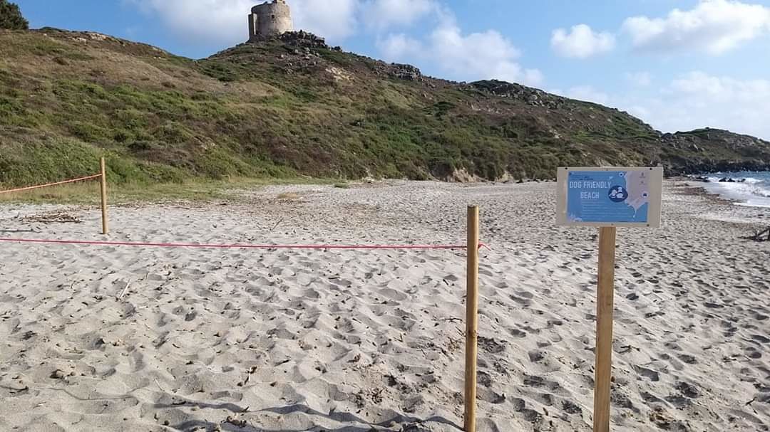 Cabras, estate in spiaggia anche per i cani: ecco le aree dog friendly