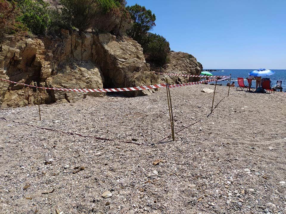 Sorpresa in spiaggia a Chia: una tartaruga Caretta risale sull’arenile per depositare le uova