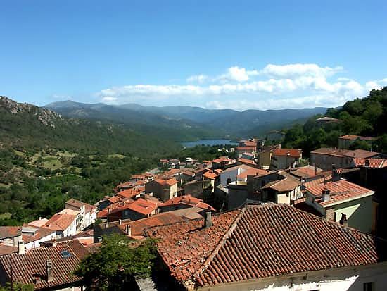 Raid incendiari a Gavoi, appello agli abitanti: “Recuperare dialogo e serenità”