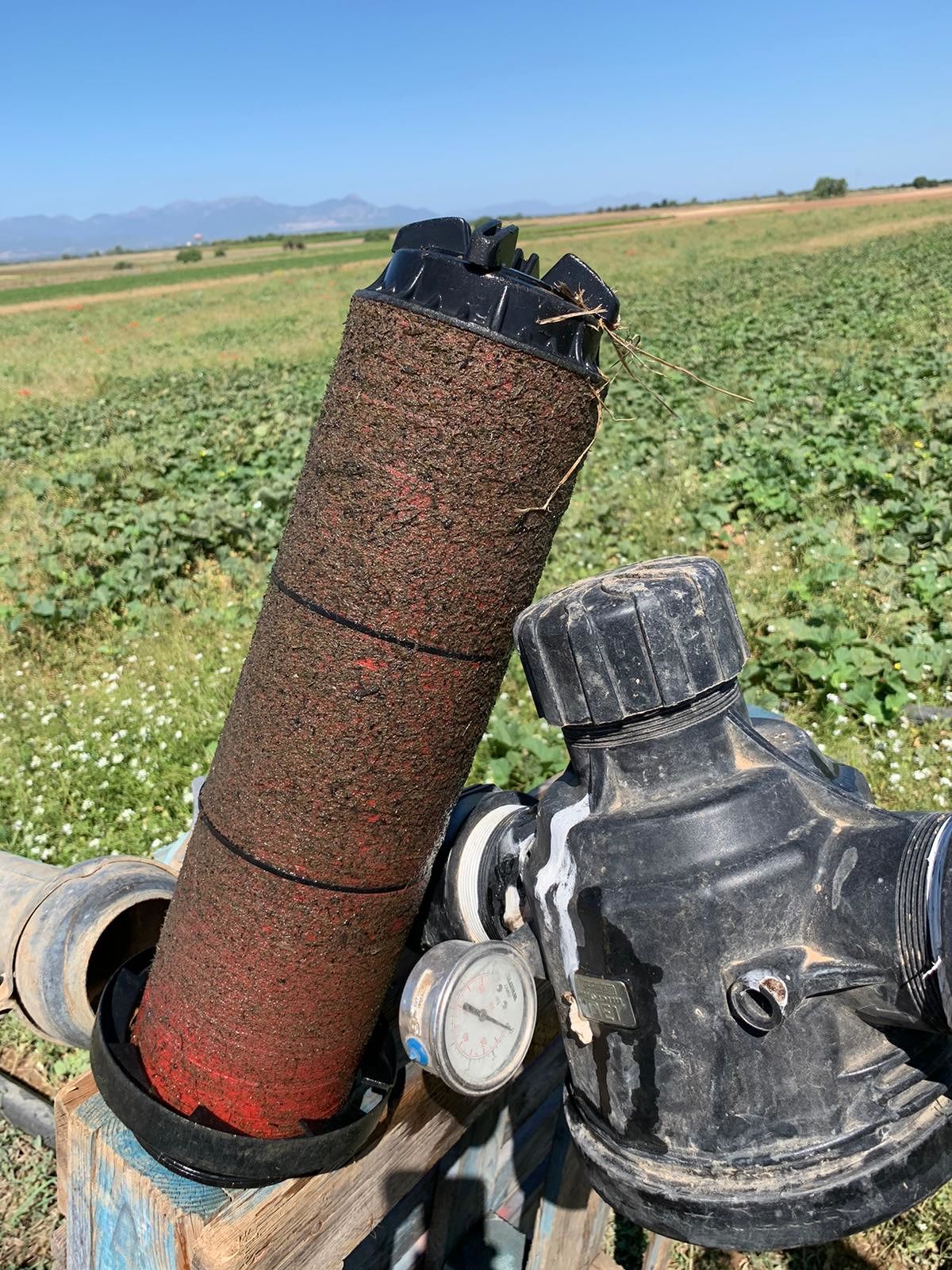 La denuncia di Coldiretti Cagliari: “L’acqua sporca rende impossibile l’irrigazione dei campi”