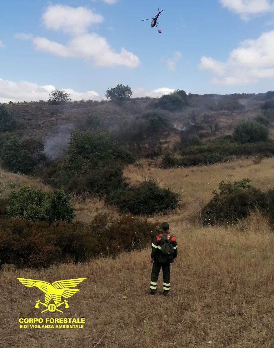 Fiamme nelle campagne dell’Isola, incendio a Burgos: elicottero in azione