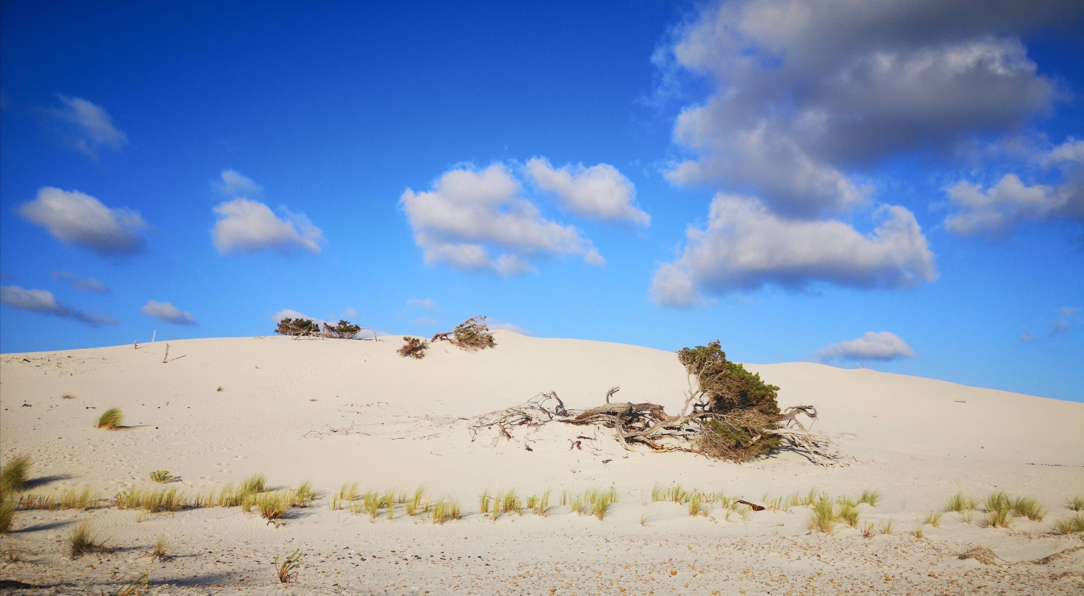 Forme e colori, gli scatti di Davide immortalano una bellissima Porto Pino