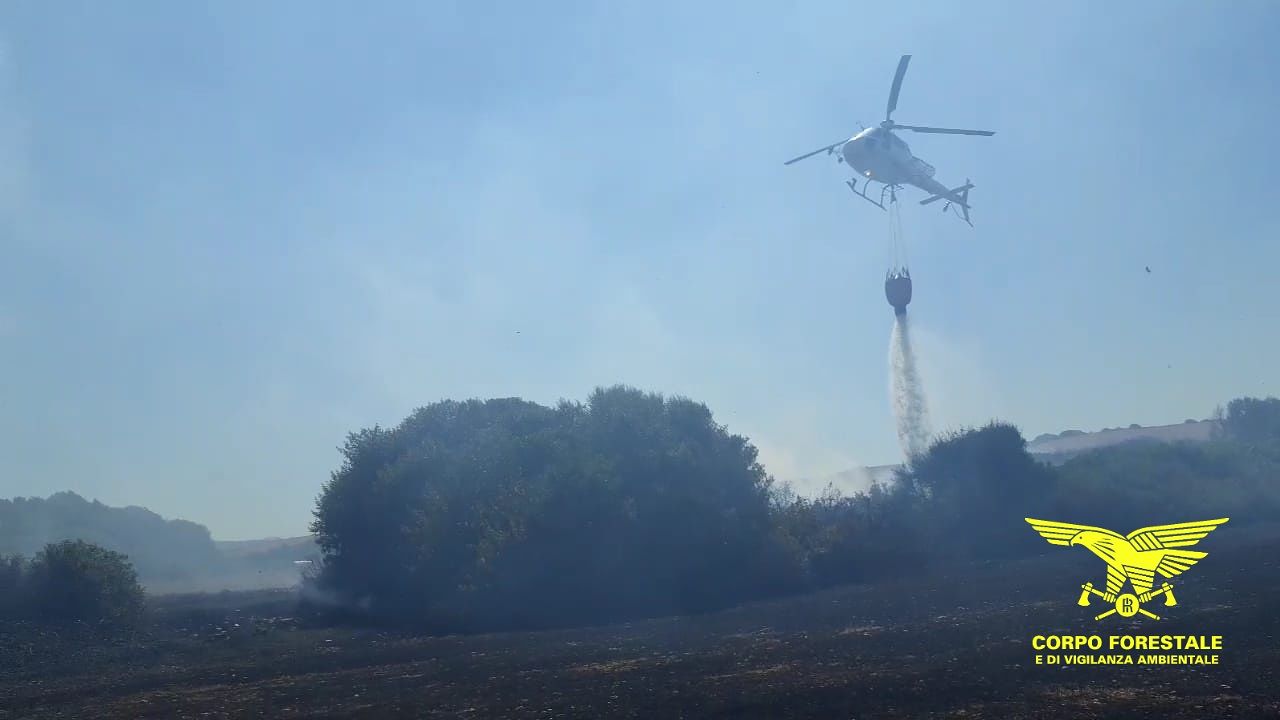 Fuoco maledetto, Sardegna ancora sfregiata: 20 incendi distruggono campi di grano e pascoli