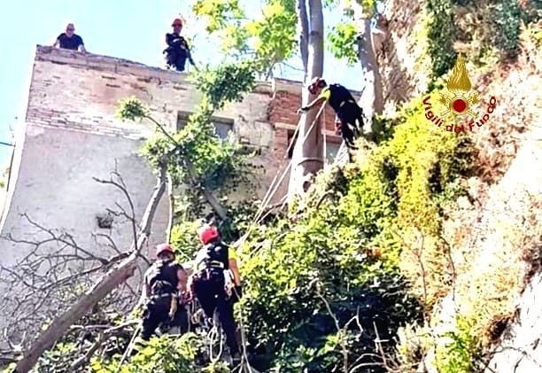 Cagliari, alberi pericolanti sulle mura di Castello: paura in viale Regina Elena