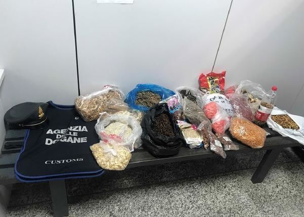 Cinese sbarca in Sardegna con 20 chili di vegetali “a rischio” in valigia: scatta il sequestro