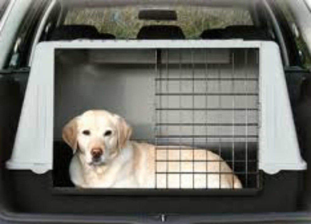 Estate 2020, i consigli utili per viaggiare in auto con il proprio cane