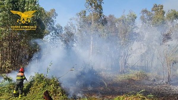 Tredici incendi in Sardegna, canneti ed eucalipti in fiamme nella periferia di Baratili