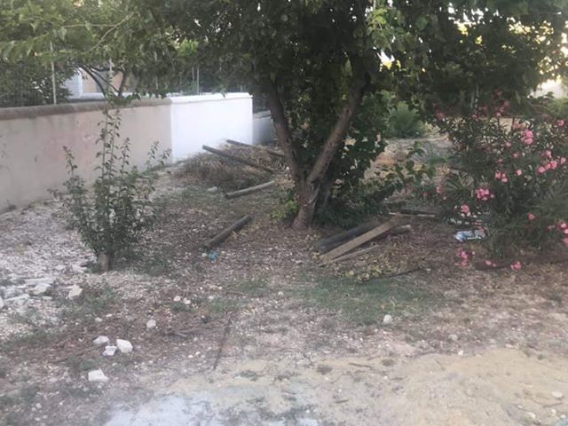 Area cani ancora chiusa a Monserrato: proteste dei cittadini, ma il Comune rassicura