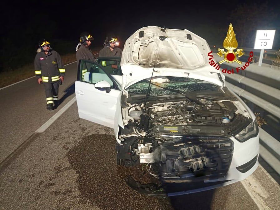 Impatto devastante contro una mucca sulla 131 Dcn, auto distrutta e guidatore all’ospedale