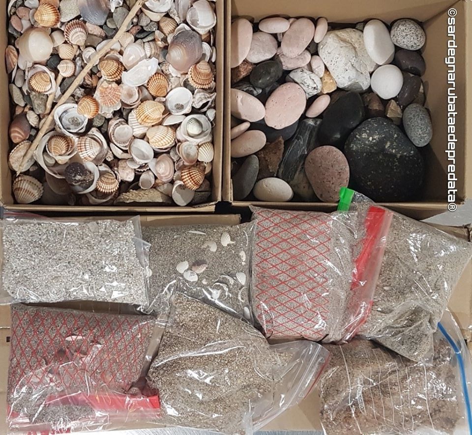 Turisti ladri scatenati in Sardegna, 70 chili di conchiglie e sabbia “salvati” all’aeroporto di Elmas