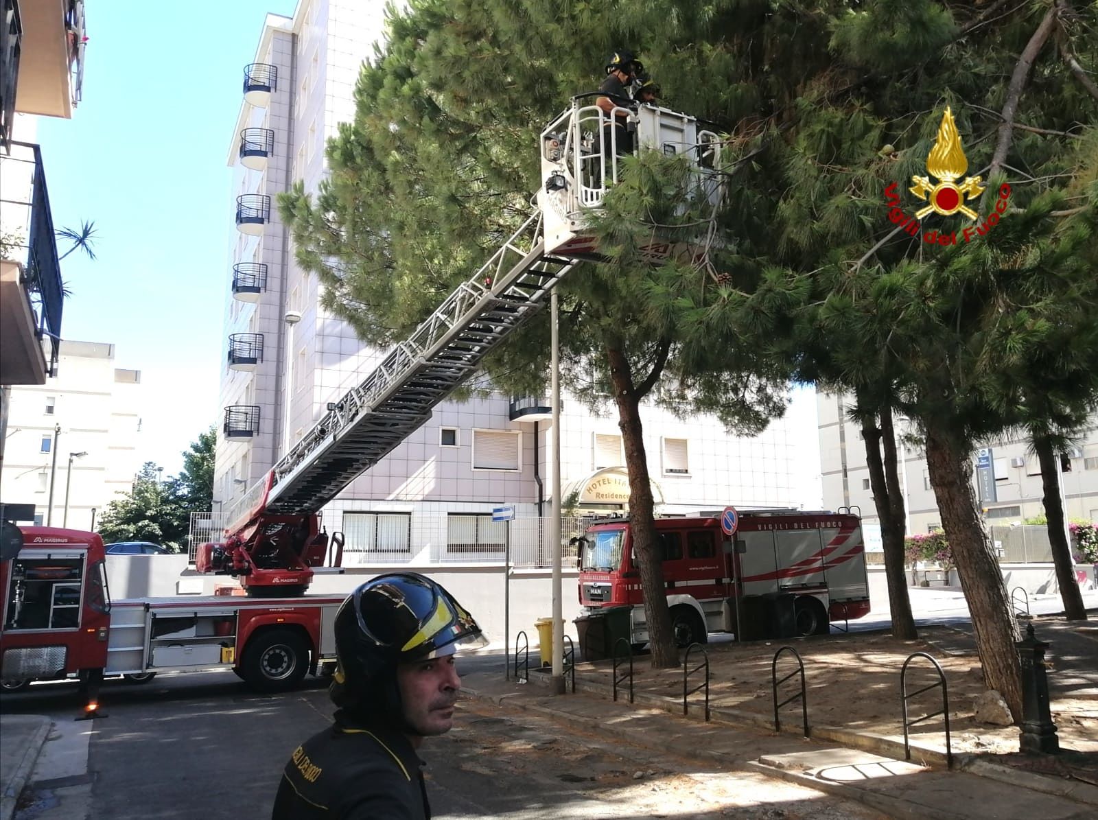 Grossi rami troncati penzolano sul marciapiede: paura a Quartu