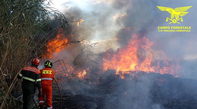 La Sardegna brucia: fiamme a Bonorva, Uri e Sarule. Impegnati 8 elicotteri e 3 canadair