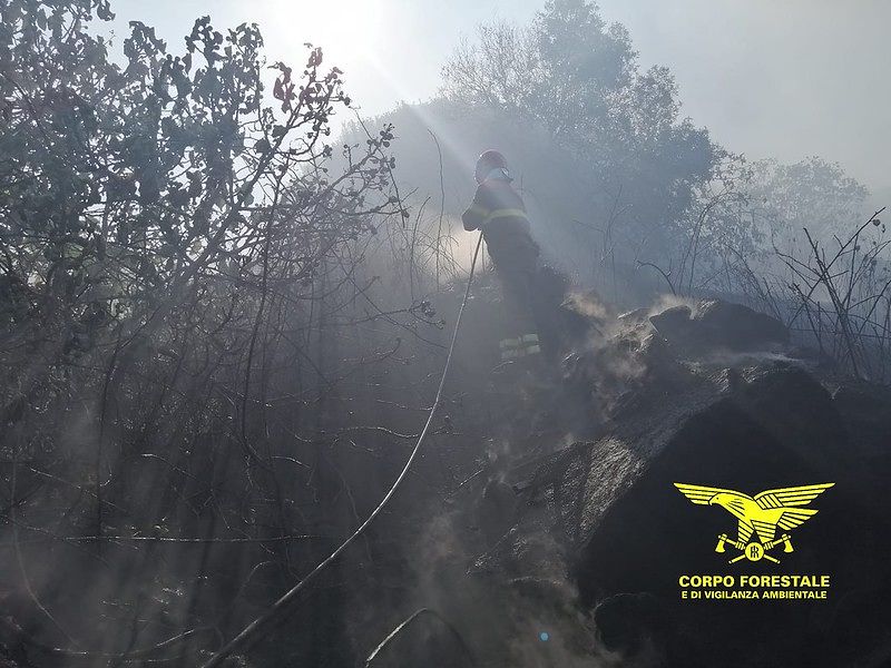Giornata di fuoco in Sardegna: dieci incendi, boschi e pascoli in cenere