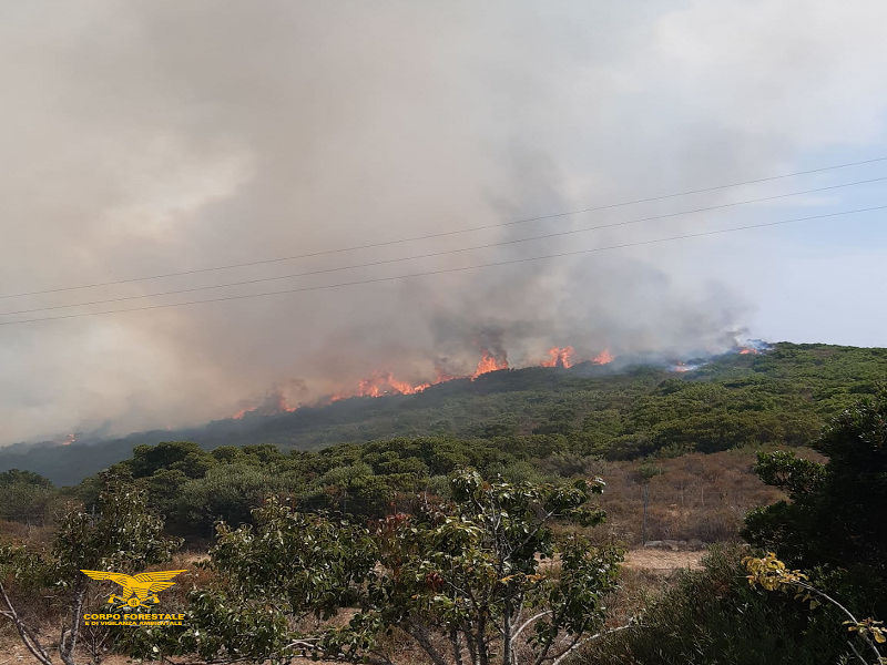 Ferragosto di fuoco in Sardegna, 12 incendi e migliaia di litri d’acqua utilizzati per domarli