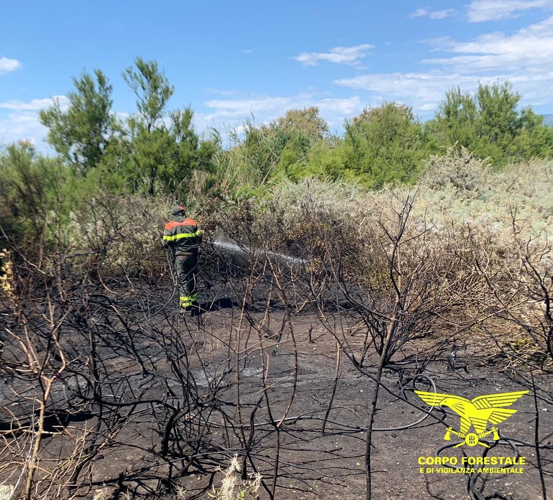 Fiamme ad Arzana, incendio nelle campagne di Costa Crareu: forestali in azione