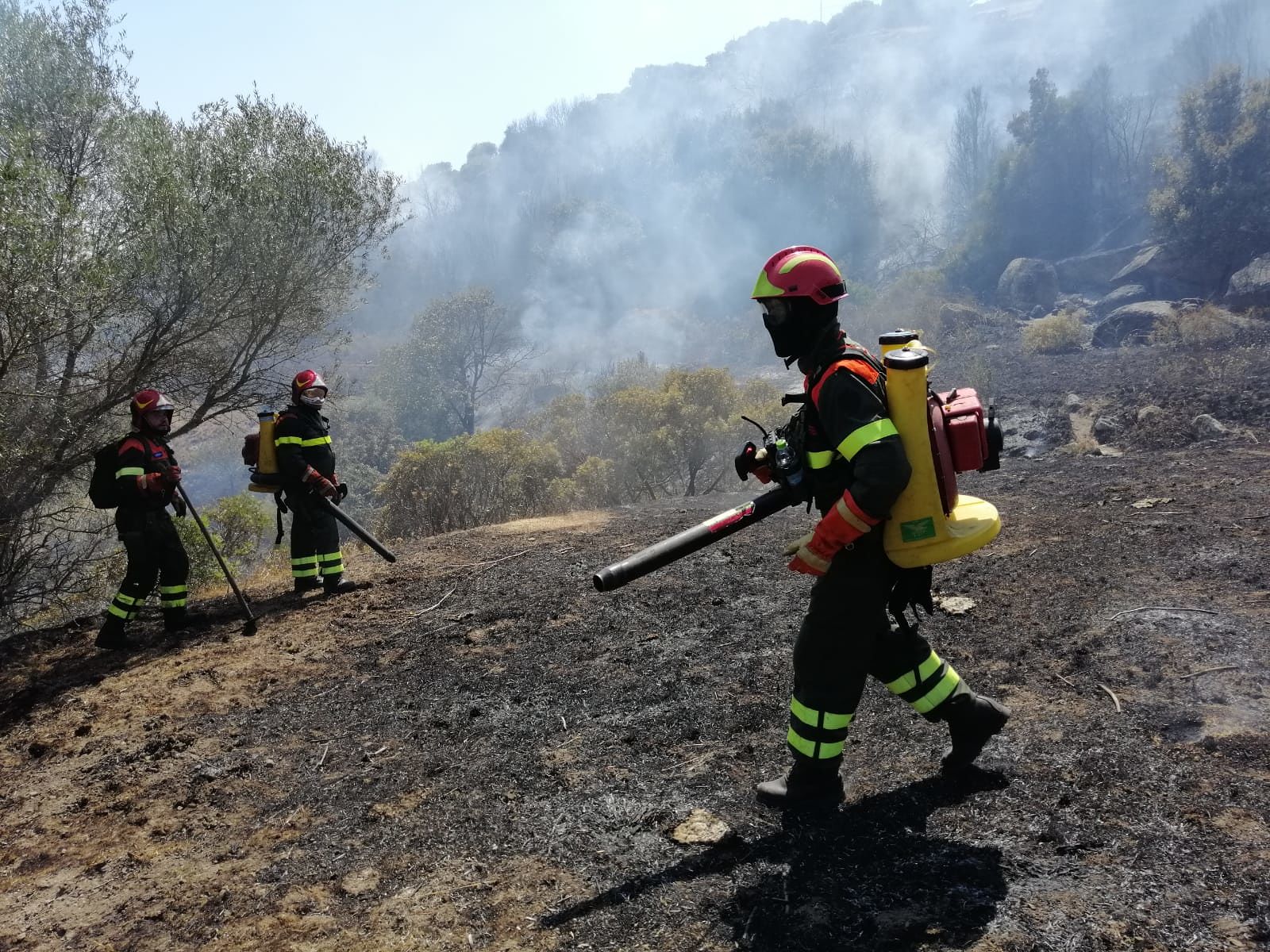 Non c’è pace per la Sardegna in fiamme: oggi venti incendi