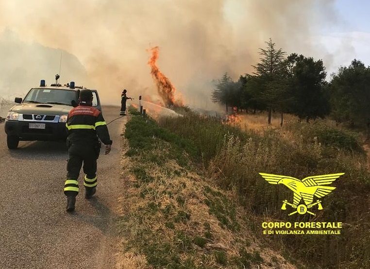 Vasto incendio a Mandas, intervengono i forestali