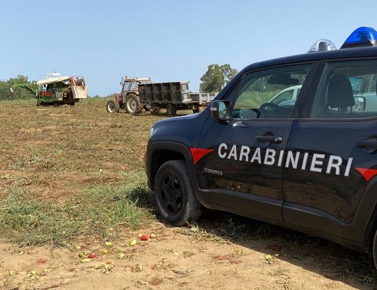 Sanluri, un paletto gli si conficca nella gamba mentre raccoglie pomodori: 30enne molto grave