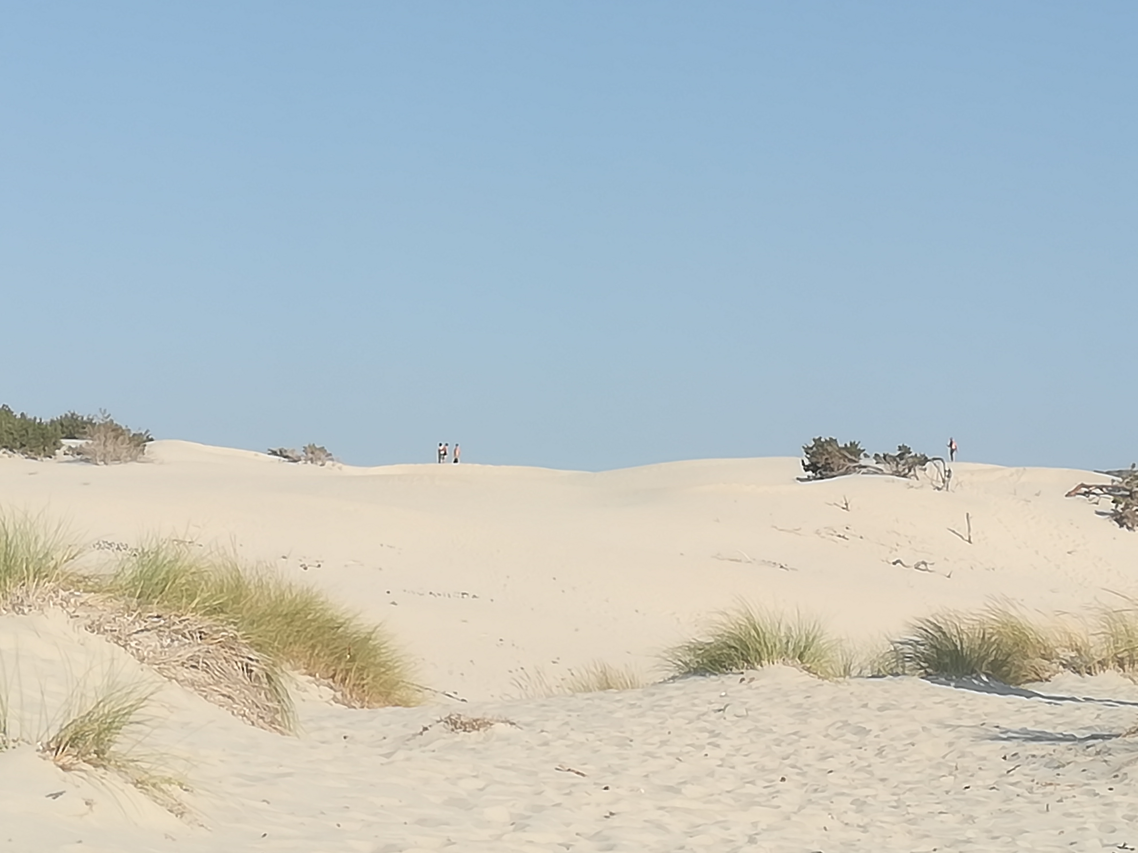 “Is Arenas Biancas, ecco come i turisti prendono d’assalto le dune di Teulada: vi prego, salvatele”