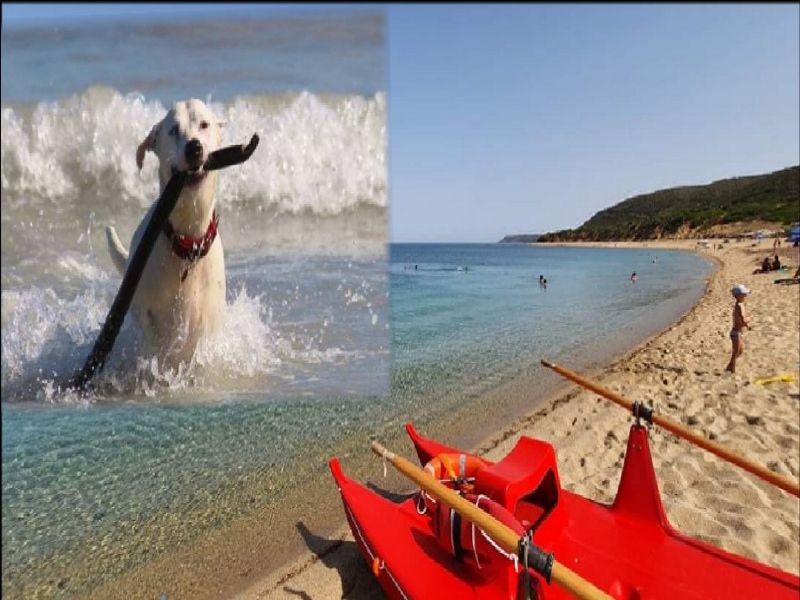 Arbus, “non può portare il suo cane in spiaggia”: bagnini si ritrovano l’auto rigata