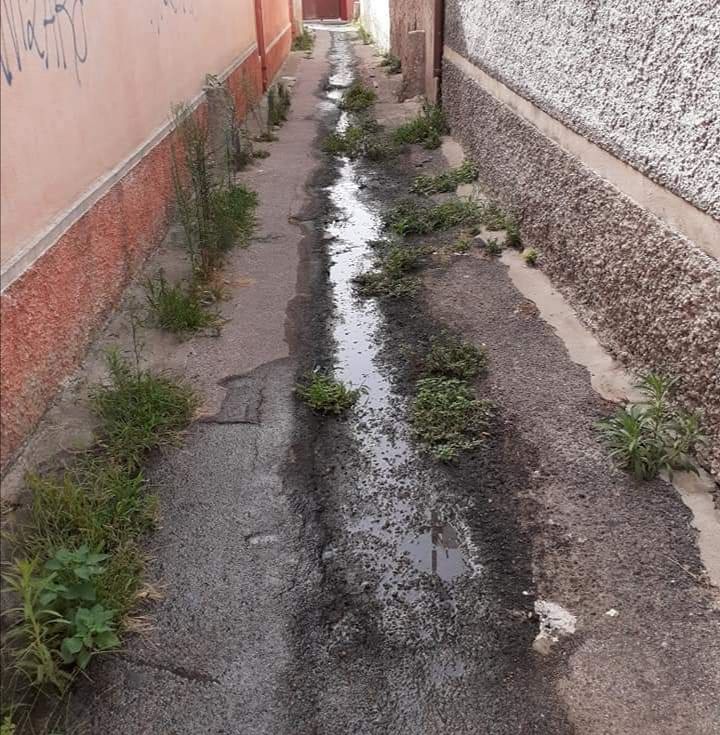 Monserrato, l’ira dei residenti: “Vico Primo Stazio è diventato il bagno dei cani”