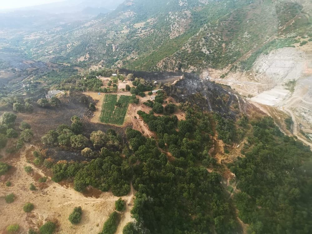 Incendi in Sardegna, l’Assessore Lampis in visita a Sarule e Orgosolo