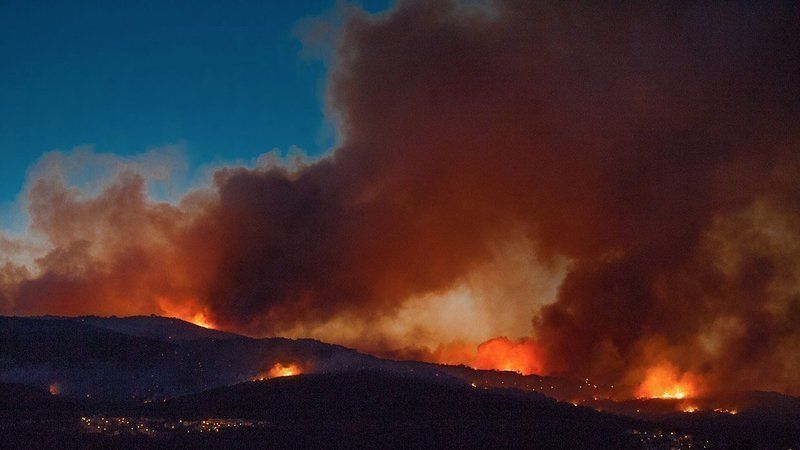 “Contro la piaga degli incendi piantiamo 100 milioni di alberi in 5 anni”: la petizione rivolta a Solinas