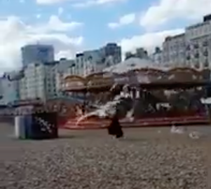 Gabbiani impazziti per le patatine fritte tentano di rubarle: il VIDEO diventa virale