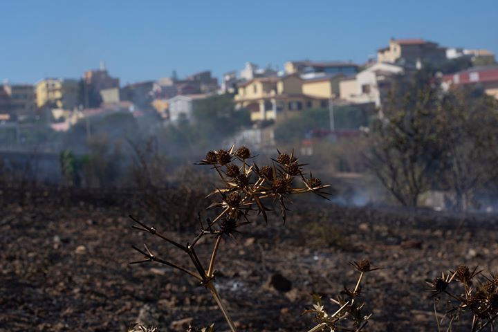 Barracca Manna, la paura dei residenti davanti al fuoco: “Fiamme altissime, abbiamo temuto per le nostre case”