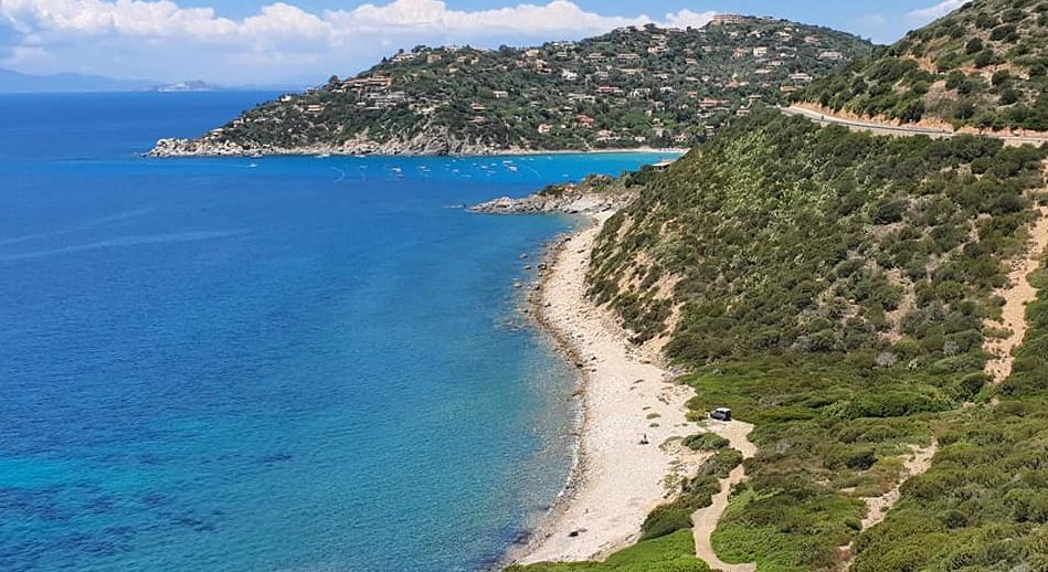Torre delle Stelle: “Non abbandonate i cani, metto la mia spiaggia a disposizione”