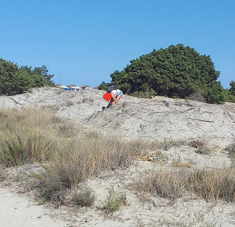 Villasimius, “la ragazza che calpesta le dune e porta via la sabbia”: intervengono le Guardie Ambientali