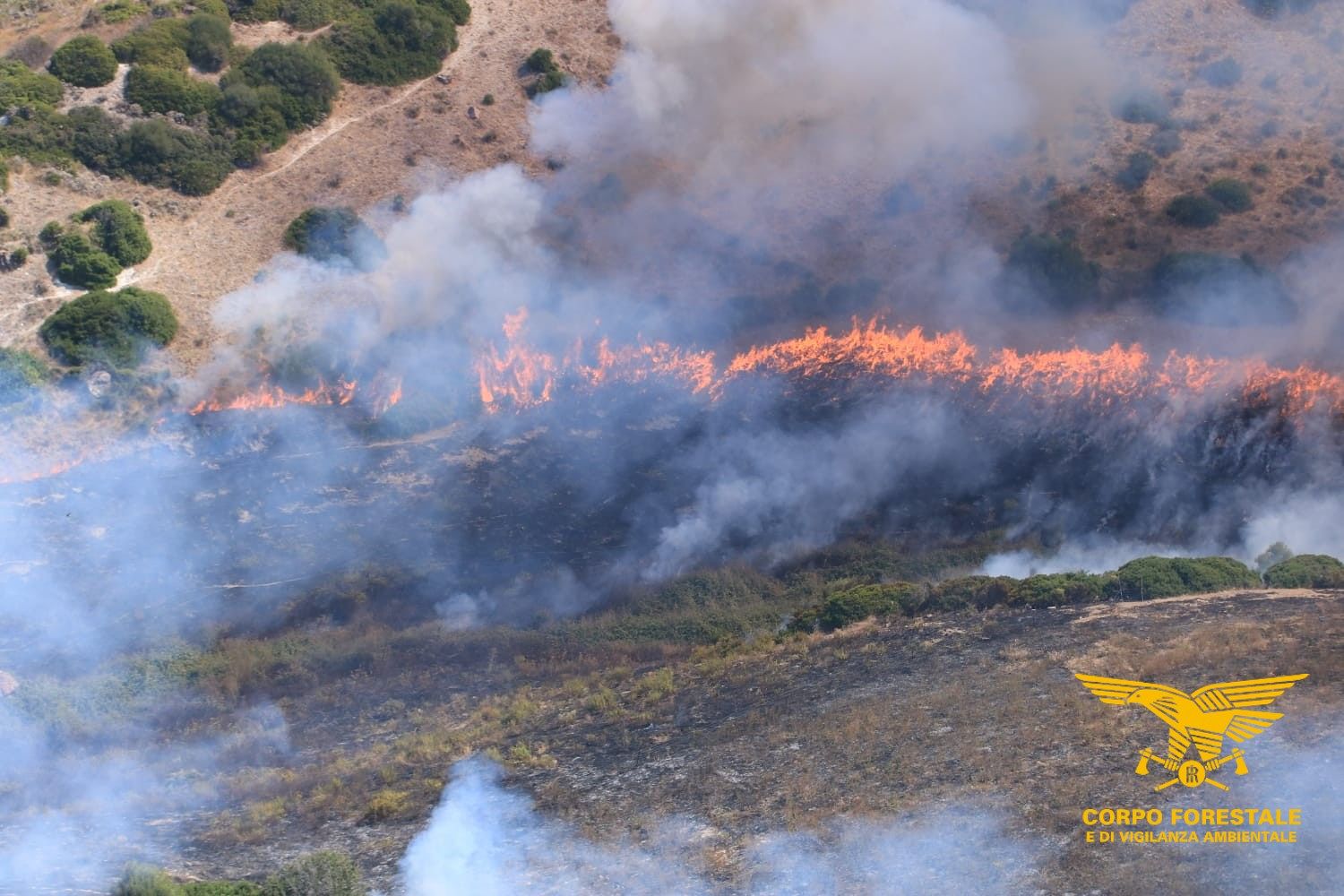 La Sardegna continua a bruciare: fiamme nelle campagne di Torpè
