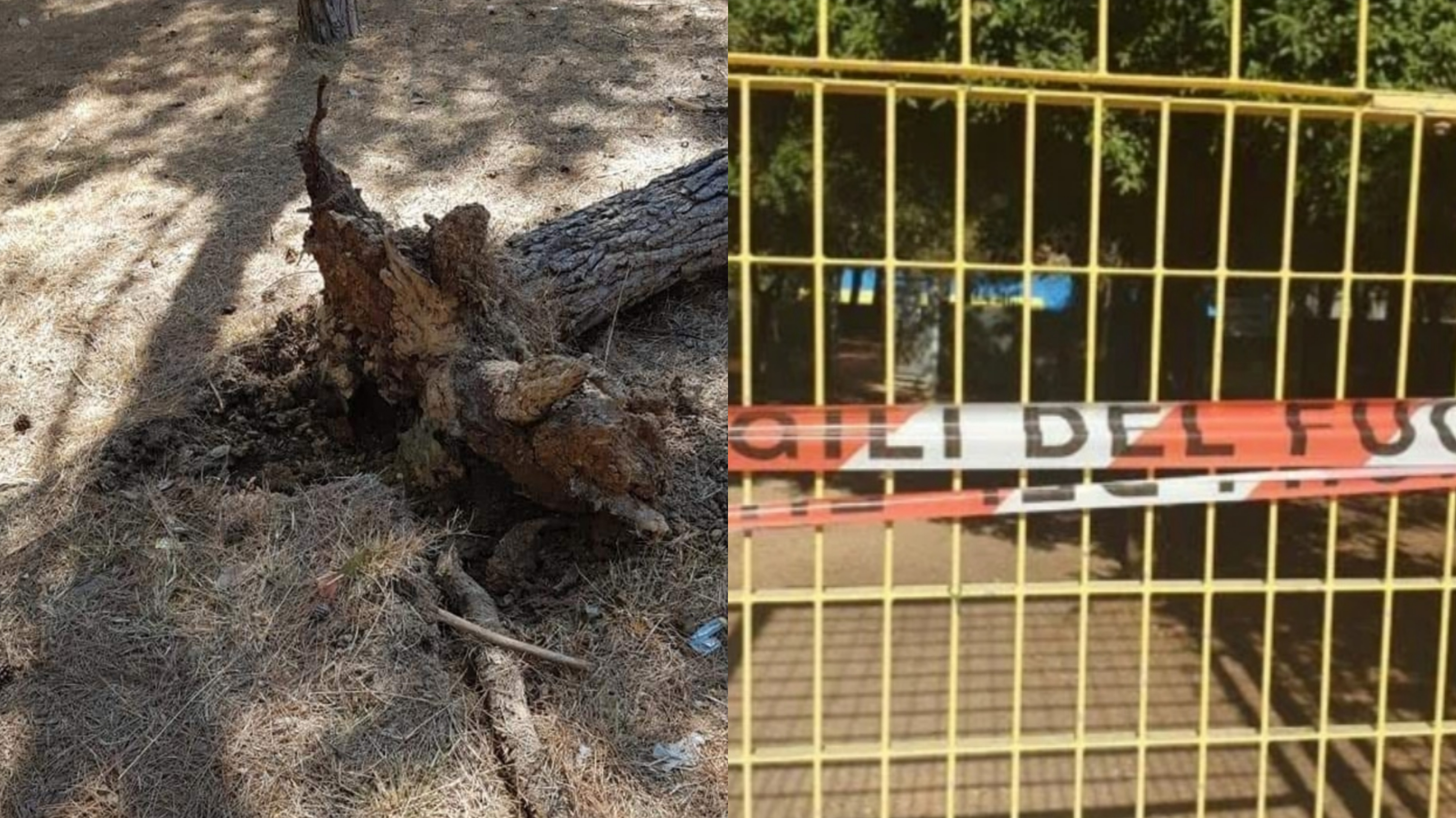 Selargius, finalmente riapre l’area cani: la buona notizia per tutti gli amici dei 4 zampe