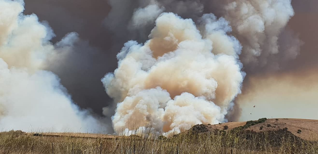 Impressionante incendio a Mandas: “Distrutto il nostro territorio, quanta rabbia e tristezza…”