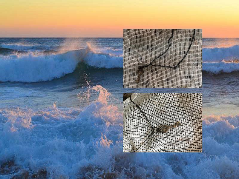 Mistero nel mare della Sardegna, trovato un cadavere: “Ecco cosa indossava, qualcuno lo riconosce?”