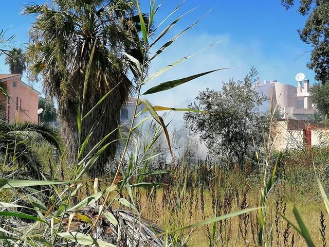 Margine Rosso, incendio a due passi dalle case: momenti di paura, in azione i volontari del Paff