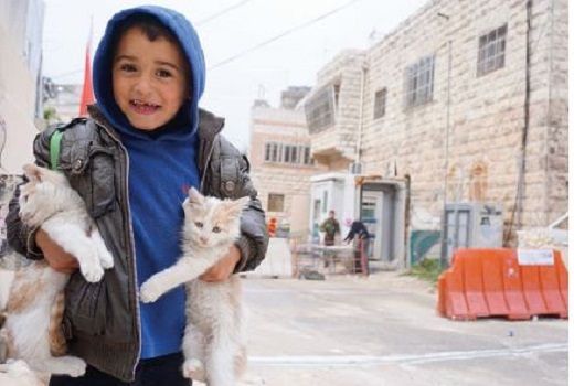 Film e documentari sulla Palestina, a Cagliari via al Festival Internazionale Al Ard