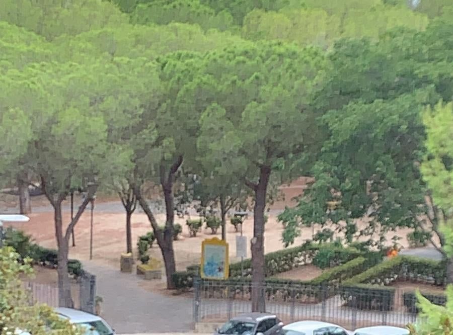 Selargius, parco di Su Planu deserto: “Dopo l’aggressione hanno tutti paura. Sindaco metti la sorveglianza”