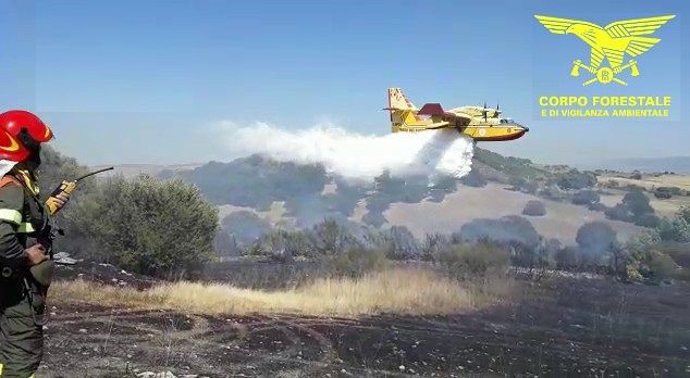 Sardegna, sabato da incubo per gli incendi, Pais: “Devastati territori, popolazione in pericolo”