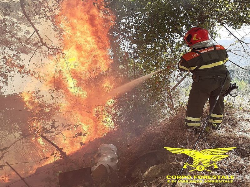 Vigilia di Ferragosto infuocata in Sardegna, 17 incendi sfregiano terreni e pascoli