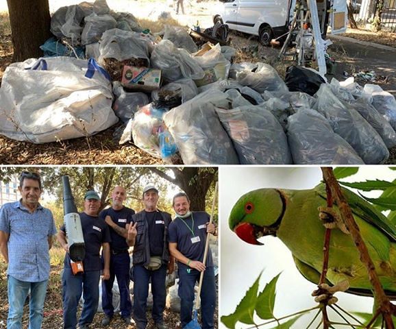 Cagliari, in viale Trento al posto del mercatino rinasce l’inedito giardino dei pappagallini selvatici