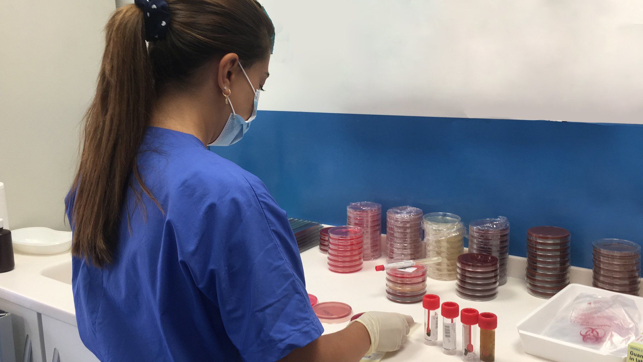 Sardegna, il Covid non si ferma: oggi 53 nuovi contagi, e c’è un nuovo malato in terapia intensiva